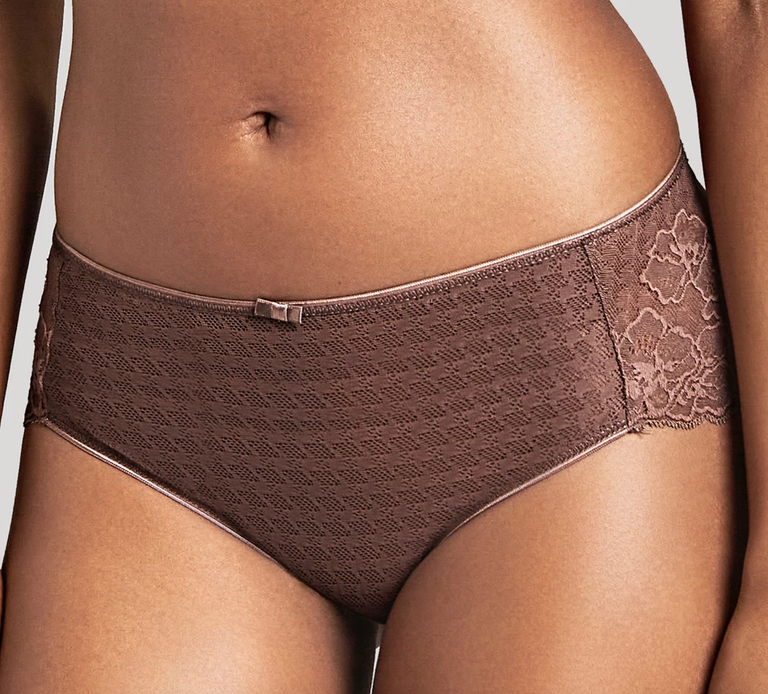 PANACHE NORTH AMERICA, INC ENVY BRIEF CHESTNUT Panties 3 PANACHE NORTH AMERICA, INC ENVY BRIEF CHESTNUT Panties