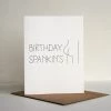 STEEL PETAL PRESS Gifts BIRTHDAY SPANKIN'S CARD
