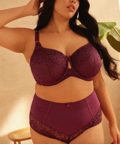 PANACHE NORTH AMERICA, INC ESTEL HIGH WAIST BRIEF DAMSON