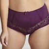 PANACHE NORTH AMERICA, INC ESTEL HIGH WAIST BRIEF DAMSON